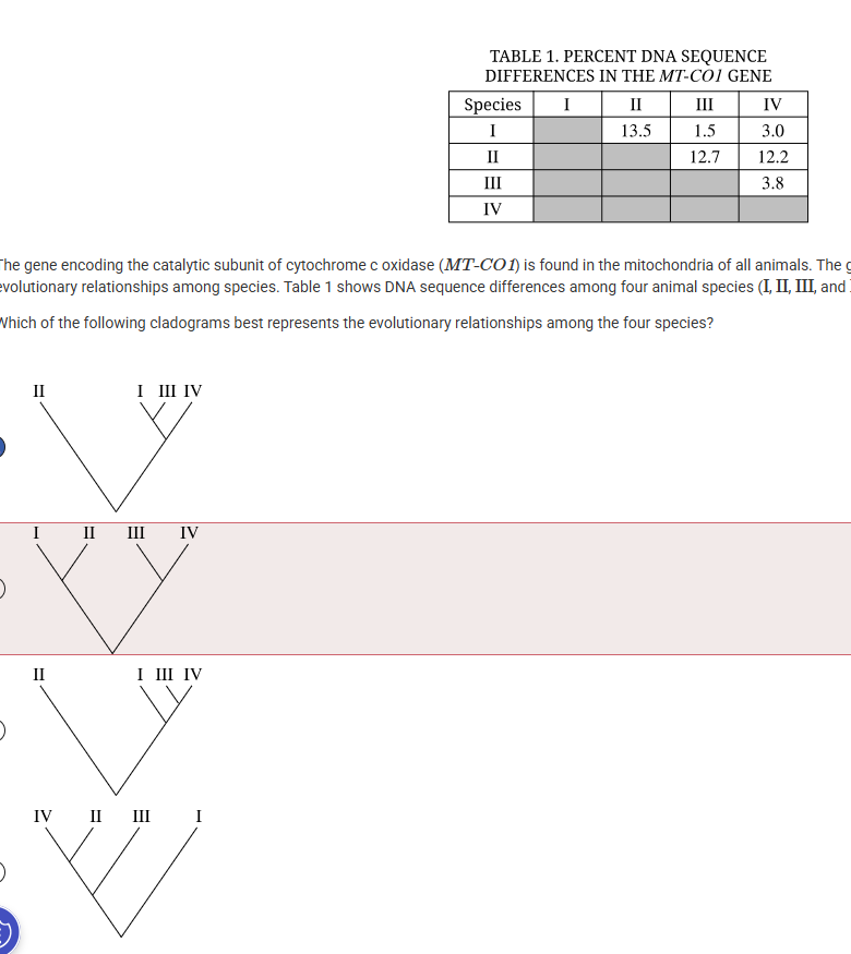<p>The gene encoding the catalytic subunit of cytochrome c oxidase (MT-CO1) is found in the mitochondria of all animals. The gene evolves rapidly and is often used to determine evolutionary relationships among species. Table 1 shows DNA sequence differences among four animal species (I,II ,III , and IV).</p><p class="stem_paragraph">Which of the following cladograms best represents the evolutionary relationships among the four species?</p>