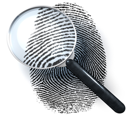 <p>The information used in a premise to support a conclusion.</p>