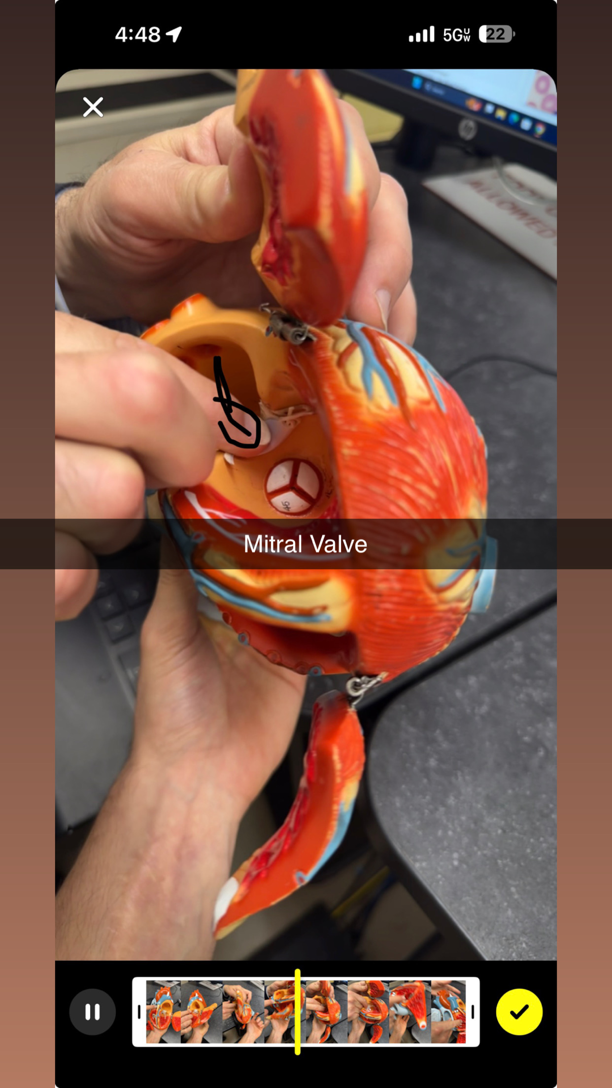 knowt flashcard image