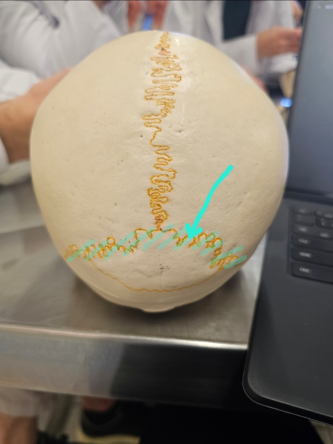 <p>Qual é o nome?</p>