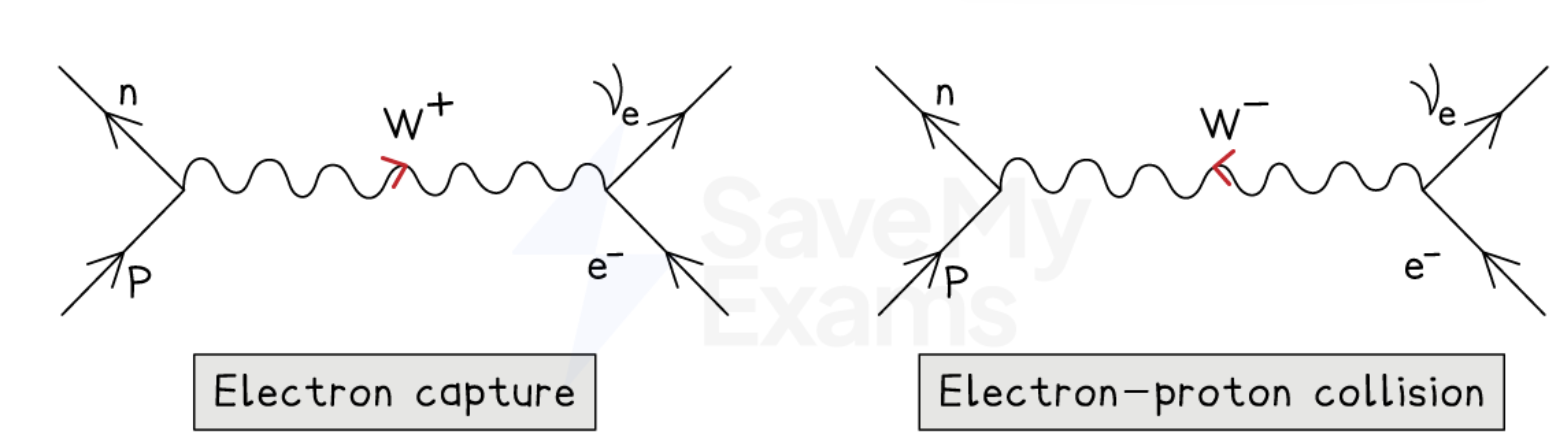 <p><strong>Feynman Diagrams</strong></p><ul><li><p>Electrons and protons are attracted to each other via the electromagnetic interaction. However, when they interact with each other, it is the weak interaction that facilitates the collision</p></li><li><p>They have the same equation</p></li><li><p>The transfer of exchange particles is from left to right, unless indicated by an arrow above the wavy line</p></li><li><p>Hadrons/quarks are present on the ____ and leptons on the right, they must never meet at a vertex</p></li><li><p>Charge, baryon number and lepton number must be conserved at each vertex</p></li></ul><p></p>
