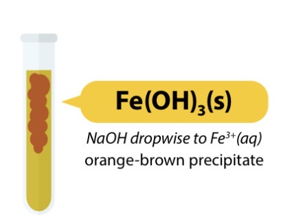 <ul><li><p>Fe3+ (aq) + 3OH- (aq) → Fe(OH)3 (s)</p></li><li><p>Pale yellow solution → orange/brown precipitate</p></li><li><p>Insoluble in excess NaOH</p></li></ul><p></p>