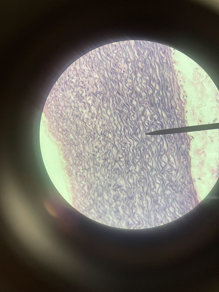 <p>structure name + layer name</p>