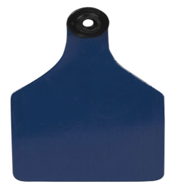 <ul><li><p>used to ID sheep</p></li><li><p>ID allows producers to keep records on individual animals </p></li></ul><p></p>