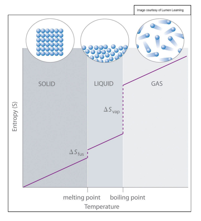 <p>entropy increases because there is more dispersal of energy </p>