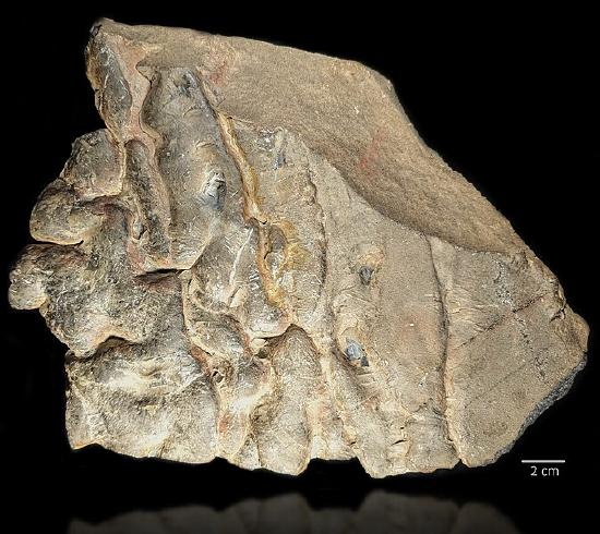 <p>when an original materal is cast or molded from surronding rock</p>