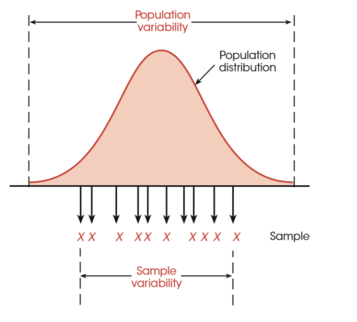 <ul><li><p>sample variation underestimates population variance</p></li></ul><p></p>