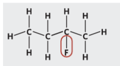 <p>Name</p>