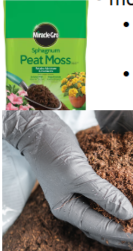 <p>-”pioneer” species in nutrient-poor soils </p><p>-moss are major primary producers in cold or high-altitude regions </p><p>-sphagnum “peat moss” bogs: important wetlands, also harvested for fuel </p><p>-some peatlands have preserved corpses for thousands of years </p>