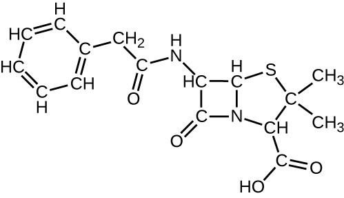 <p>Organic Molecule</p>
