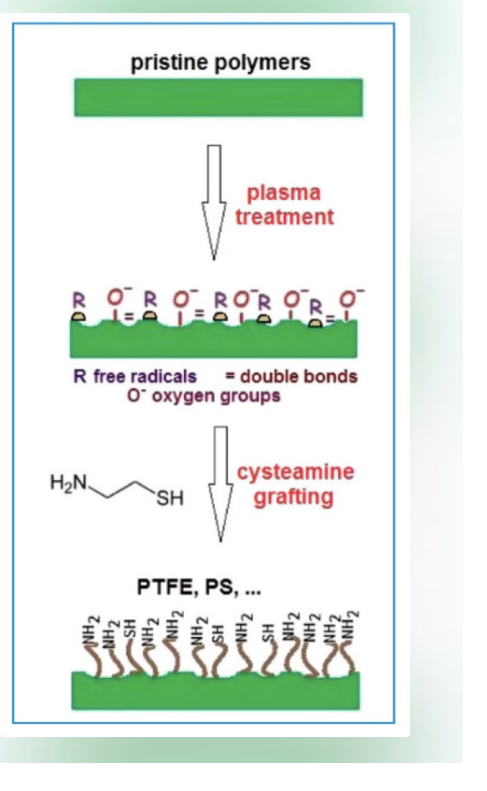<p>Radiation Grafting: <strong>Substrate exposed to HIGH-ENERGY radiation.</strong> <strong>Reactive species form at the surface, COVALENTLY bonding the coating. </strong>Often binds hydrogels.</p><p>Uses high-energy ionizing RADIATION (such as gamma rays or electron beams) to initiate the process. Mechanism: The radiation hits the <strong>substrate</strong>, knocking off atoms or breaking bonds to create <strong>reactive species</strong> (usually free radicals) on the surface. <strong>Result:</strong> These surface radicals react with monomers in the surrounding environment, creating a strong <strong>covalent bond</strong> between the substrate and the new coating. <strong>Common Use:</strong> It is frequently used to bind <strong>hydrogels</strong> to medical devices, improving biocompatibility and lubricity.</p><p>Photografting: <strong>Radiation is UV or visible light.</strong> Photoresponsive chemical moieties facilitate modification. Uses phenyl azide or benzophenone chemistry.</p><p>Similar to radiation grafting, but it uses lower-energy light (UV or visible) and specific chemical additives. <strong>Mechanism:</strong> Because UV light is less energetic than gamma rays, it often requires <strong>photoresponsive chemical moieties</strong> (initiators) (specific parts or functional groups within a larger molecule that have their own chemical identity or role). <strong>Chemistry:</strong> It typically utilizes <strong>phenyl azide</strong> or <strong>benzophenone</strong> chemistry. <strong>When these chemicals are exposed to light, they become highly reactive and "anchor" the desired coating to the surface.</strong></p><p></p><p>Diagram: The diagram on the right illustrates a specific multi-step workflow often used for inert polymers like PTFE (Teflon) or PS (Polystyrene): <strong>Pristine Polymers:</strong> The starting material is chemically inert and "slick," making it hard for other materials to stick to it. <strong>Plasma Treatment:</strong> The polymer is exposed to plasma (ionized gas). This "activates" the surface by creating: <strong>R (Free Radicals)</strong> and <strong>Double Bonds (=)</strong>. <strong>O⁻ (Oxygen groups)</strong>. This creates a reactive "landing pad" on an otherwise non-reactive surface. <strong>Cysteamine Grafting:</strong> A molecule called <strong>cysteamine</strong> ($H_2N-CH_2-CH_2-SH$) is introduced. The sulfur ($SH$) or amine groups react with the plasma-activated sites. That is a very sharp observation! Technically, the process shown in the diagram is <strong>neither</strong> radiation nor photografting—it represents <strong>Plasma-Induced Grafting</strong>.</p><p></p>