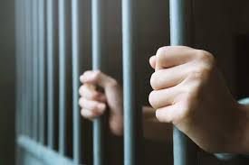 <p>imprison (v) <span>/ɪmˈprɪzn/</span></p>