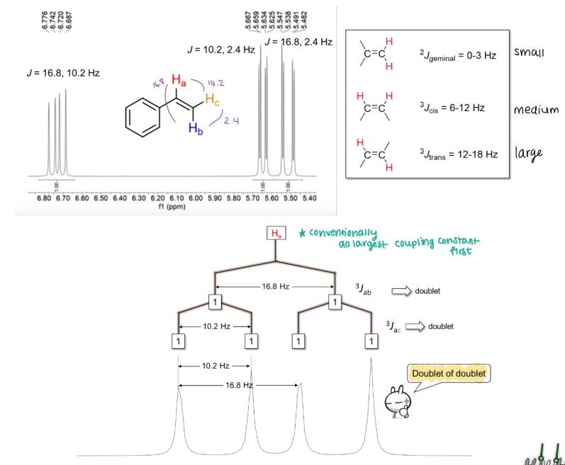 <p><strong>System 1: Comlex Spin Multiplicity in ___________</strong></p><ul><li><p>Geminal </p></li><li><p>Cis</p></li><li><p>Trans</p></li></ul><p></p>