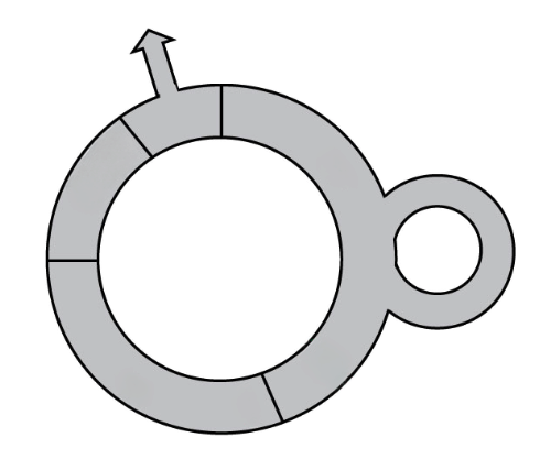 <p>Checkpoints in cell cycle</p>