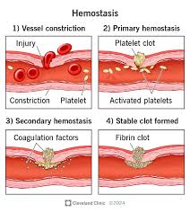 <p>What is platelet plug?</p>