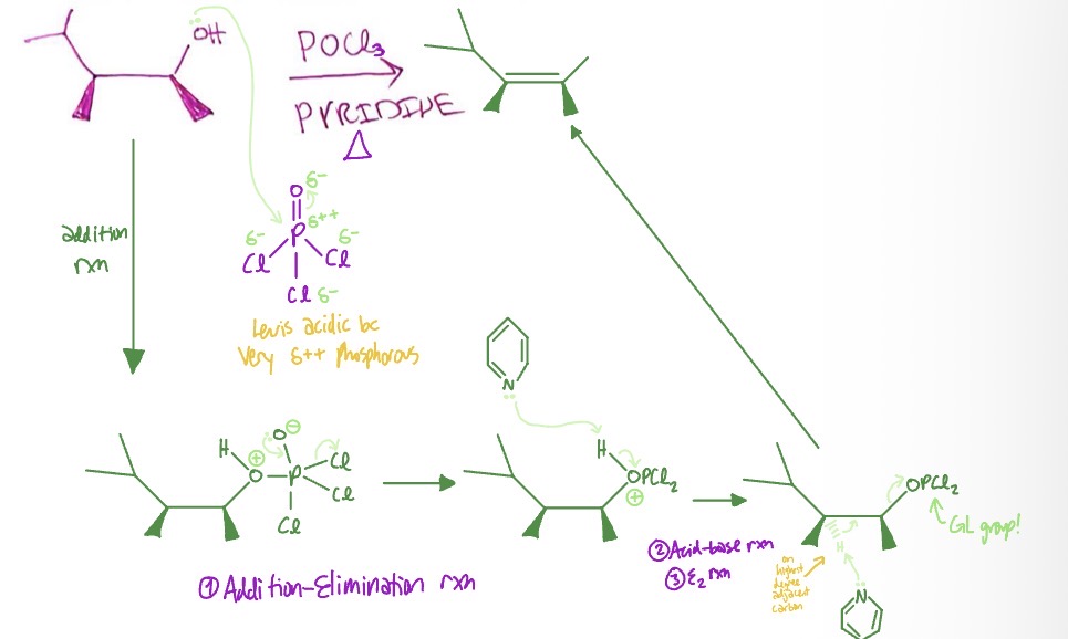 <p>hydroxyl group takes POCl3 as pi bond on partially negative O breaks → lone pair on O- on P turns into pi bond again as Cl leaves, O from hydroxyl is positive → LP on pyridine takes H from O+ → LP on pyridine takes H from highest degree adjacent carbon as OPCl2 leaves → alkene forms from absent H</p>