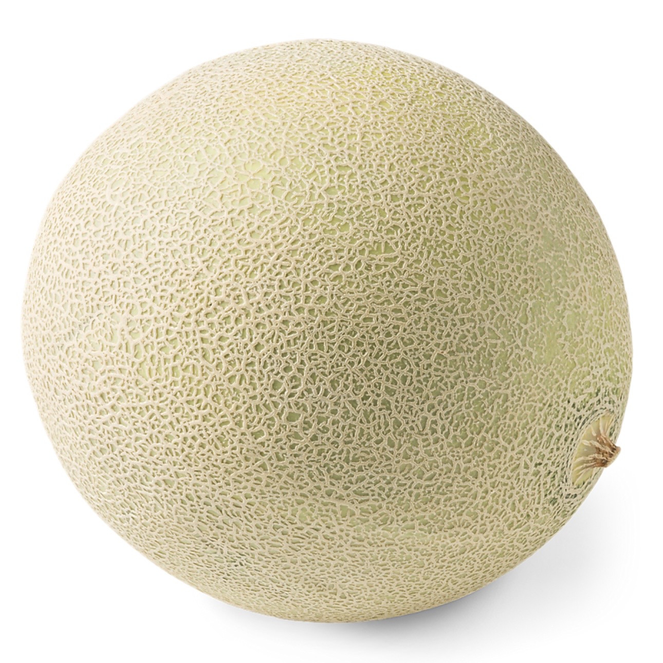 <p>Cantaloupe</p>