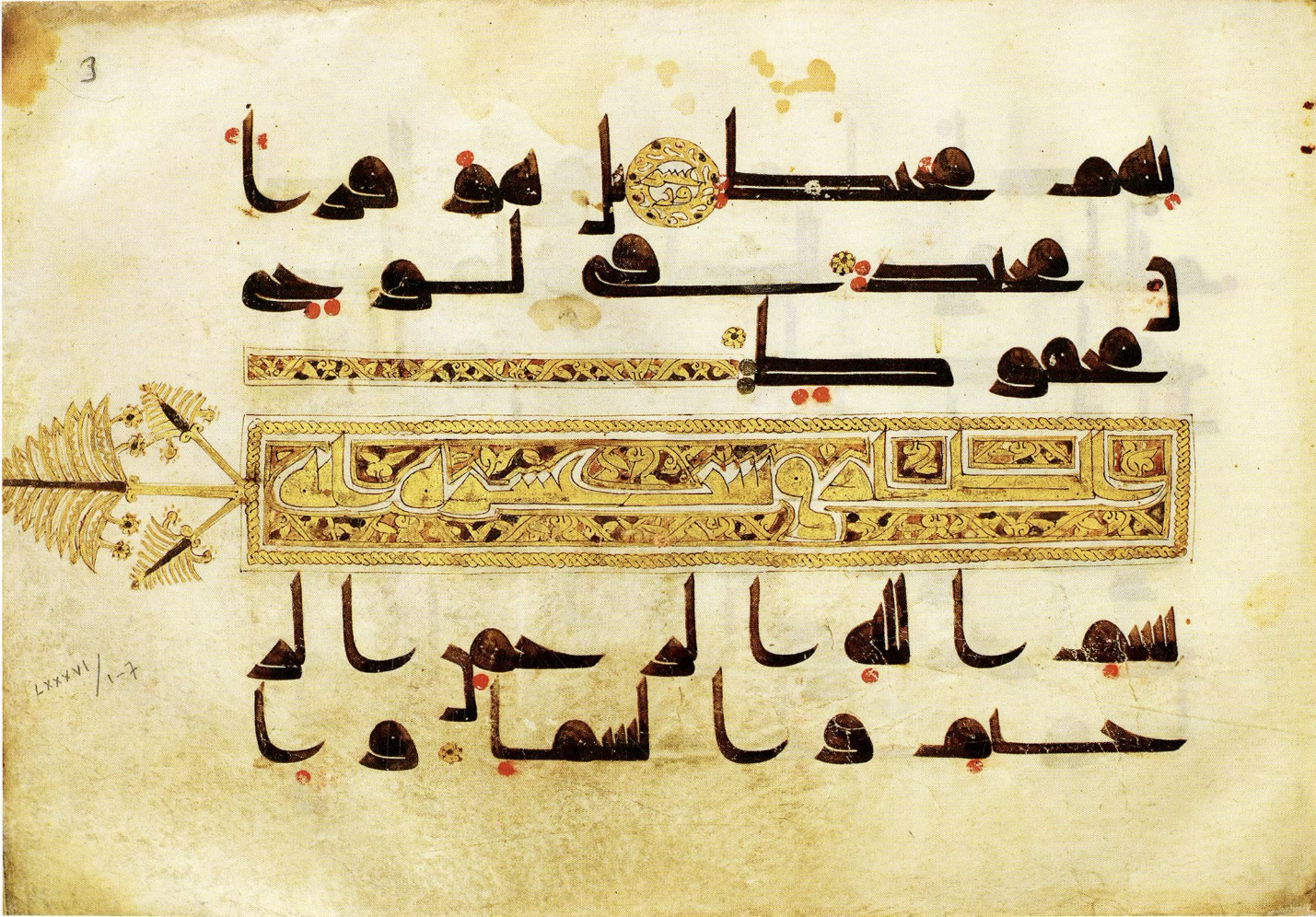 term image