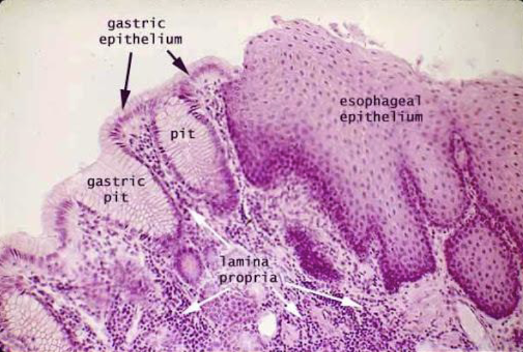 <p>What is this?</p>