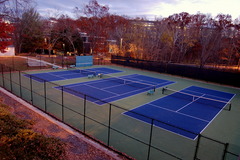 <p>the field (where a game is played)</p>