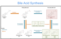 <p>cholic acid</p>