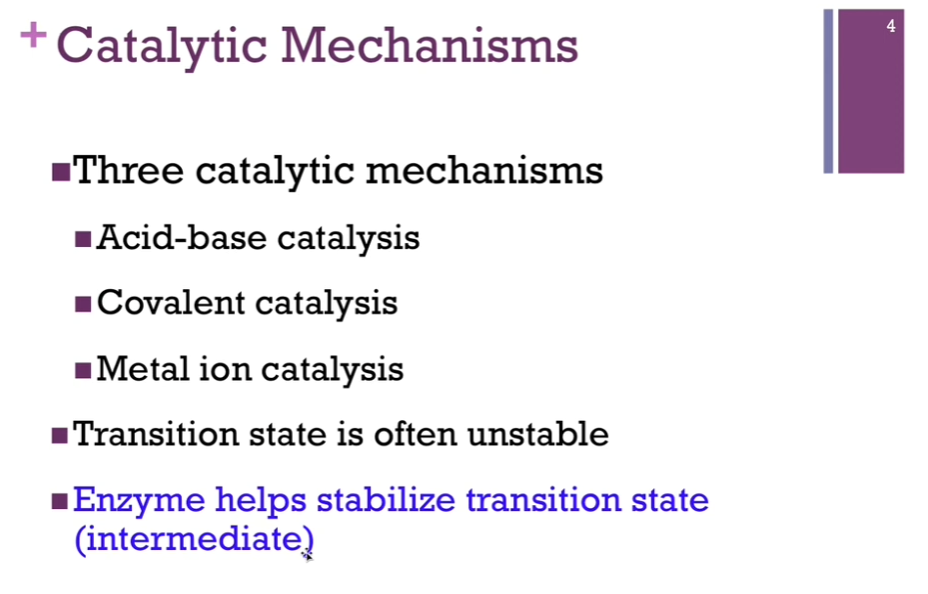 <p>3 catalytic mechanisms: <strong>acid-base catalysis, covalent catalysis, metal ion catalysis</strong>. ALL catalytic mechanisms involve one or more of these three types. Remember, the transition state is often unstable, so the <strong>role of enzyme is to help stabilize that transition state intermediate</strong>.</p><p>Clarification: Chat: Catalysis is the process by which a substance called a catalyst speeds up a chemical reaction without prematurely being permanently consumed or changed in the reaction. </p>