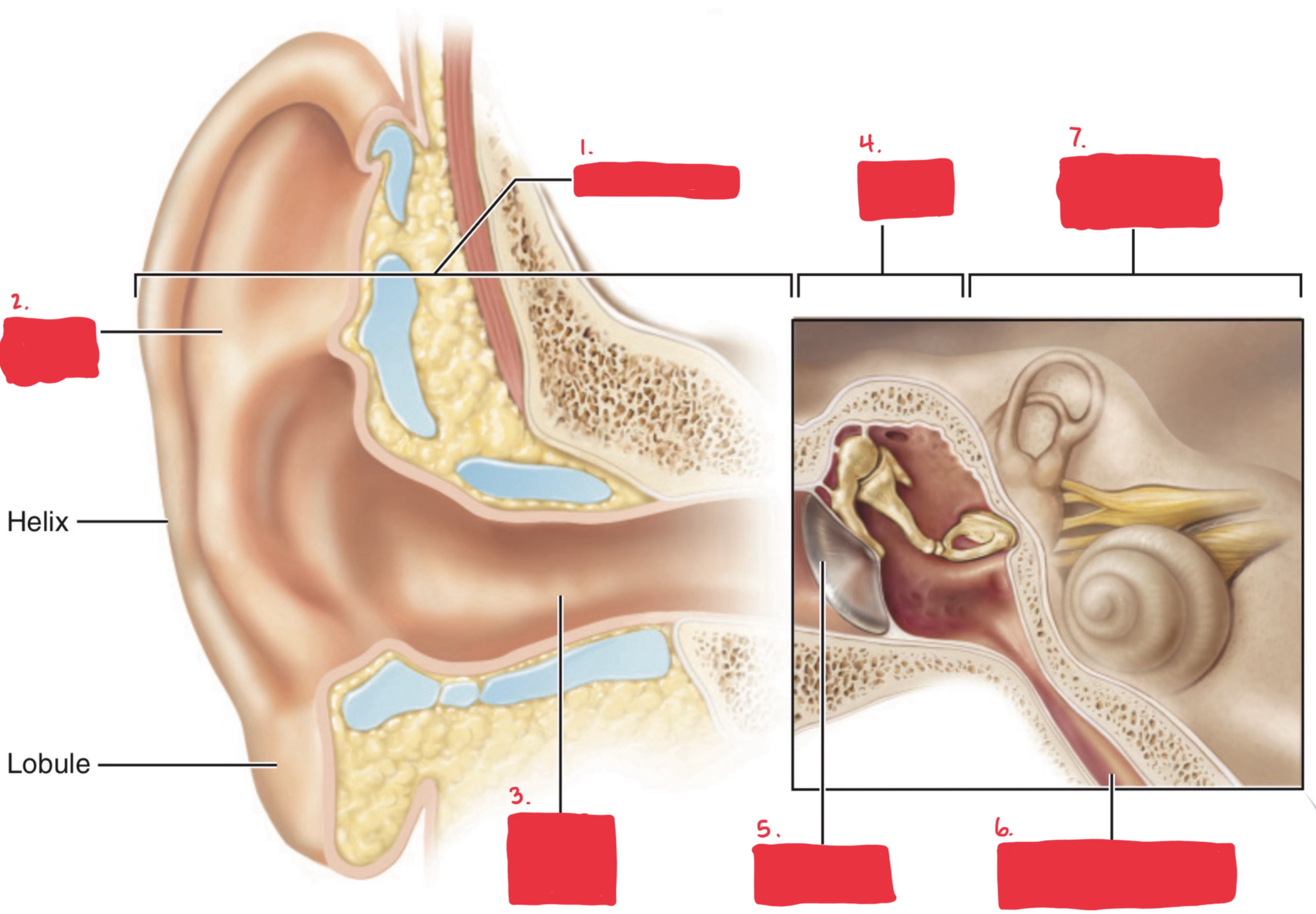 <p>6.</p>