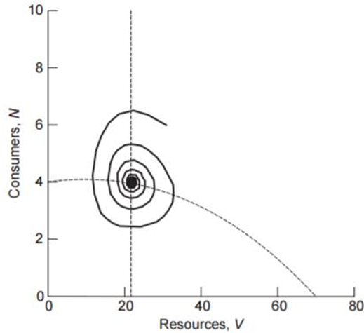 <p>Inward spiral, stays around same number. Stabilizing influences. How they self-regulate. Eg. Lagged/delayed density response. Deer and Wolves</p>