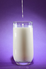 <p>молоко (коров'яче)</p><p>저는 아침에 우유를 마셔요. = I drink milk in the morning.</p><p>우유가 냉장고에 있어요. = The milk is in the fridge.</p><p>이 우유는 신선해요. = This milk is fresh.</p>