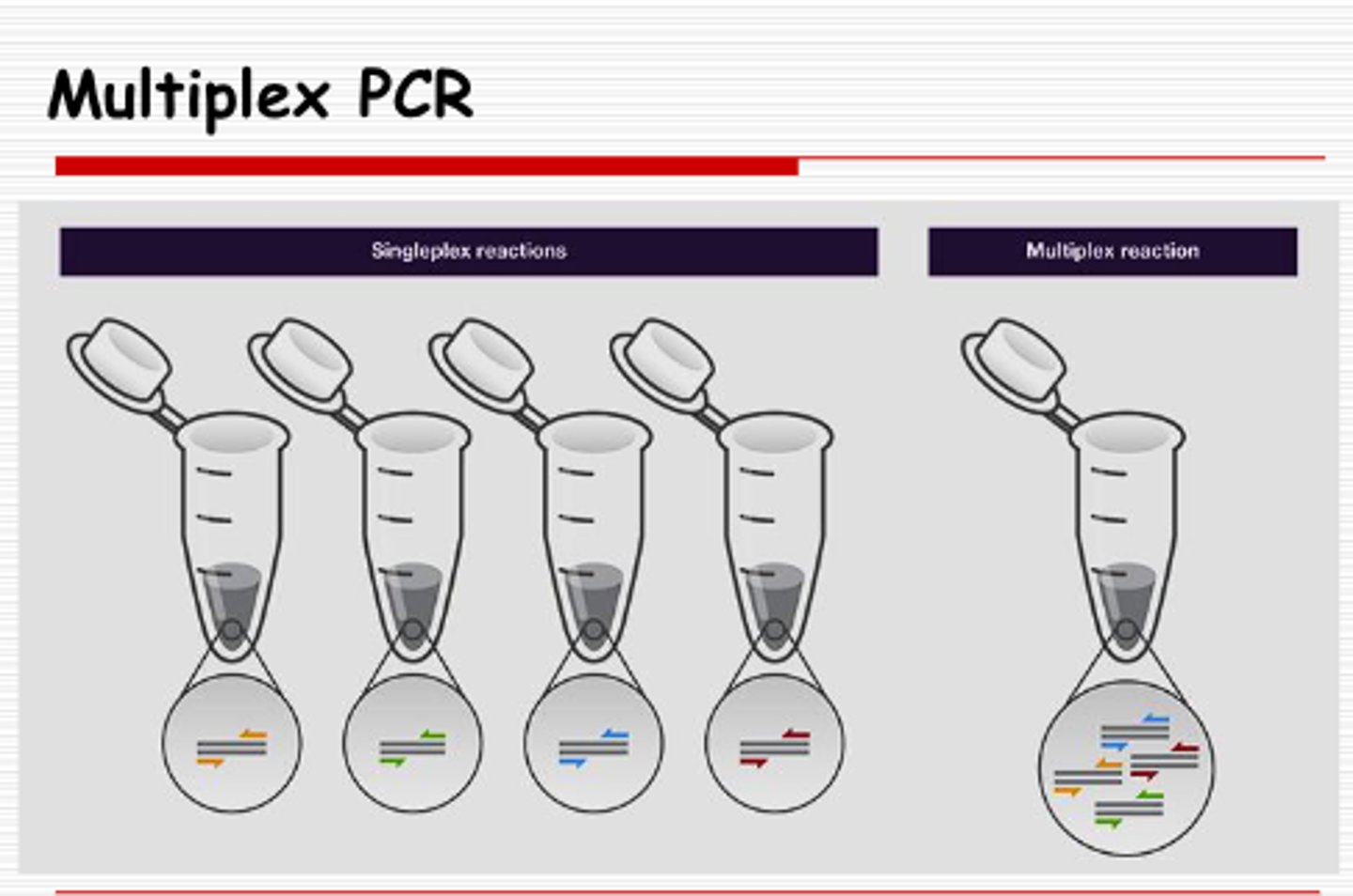 <p>instead of doing separate reactions for multiple samples, do everything in one tube. use different probes to label each thing you are targeting (ex: blue for HIV, green for HPV, etc). cannot use SYBR green because it amplifies any dsDNA in the sample</p>