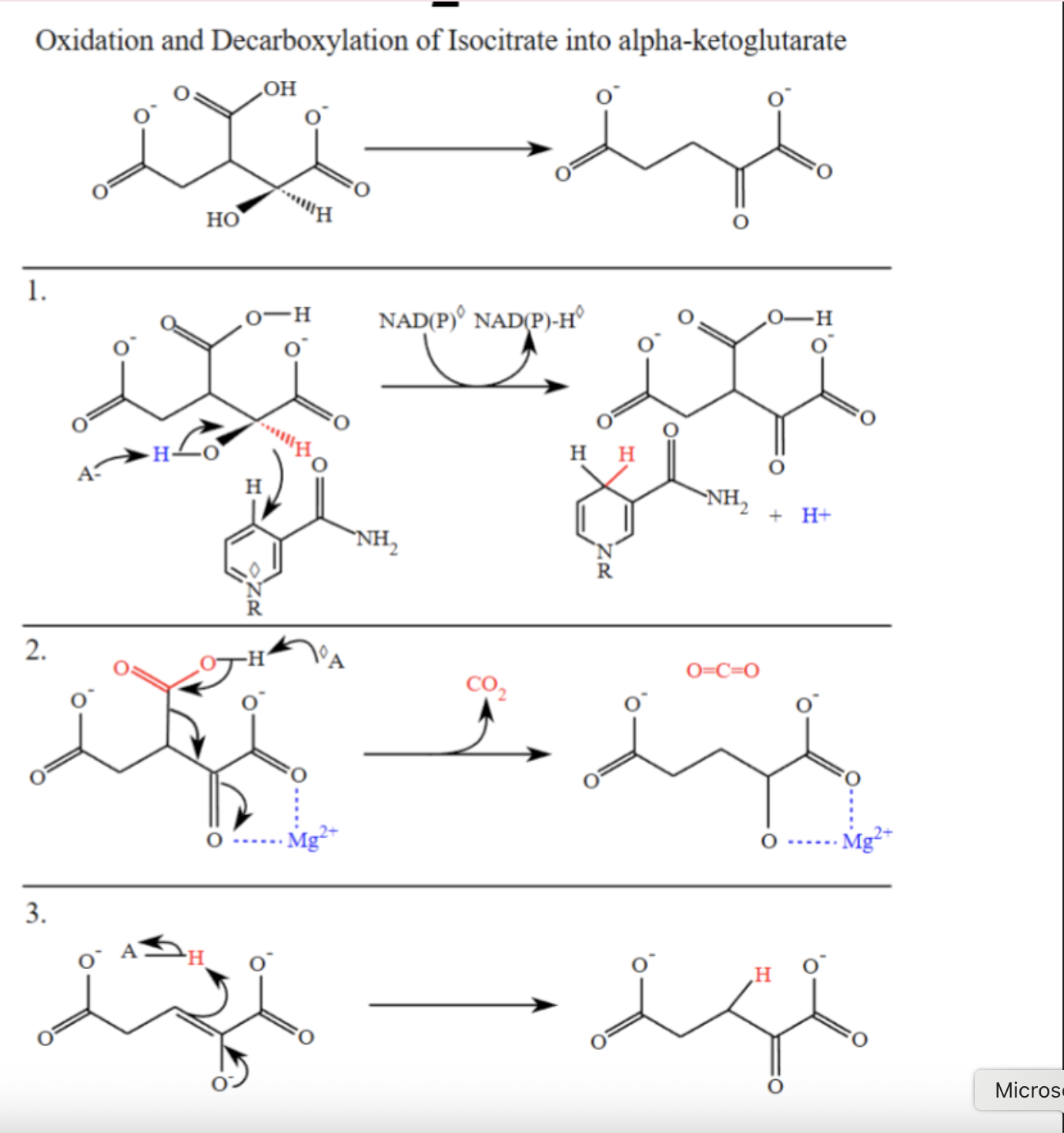 knowt flashcard image