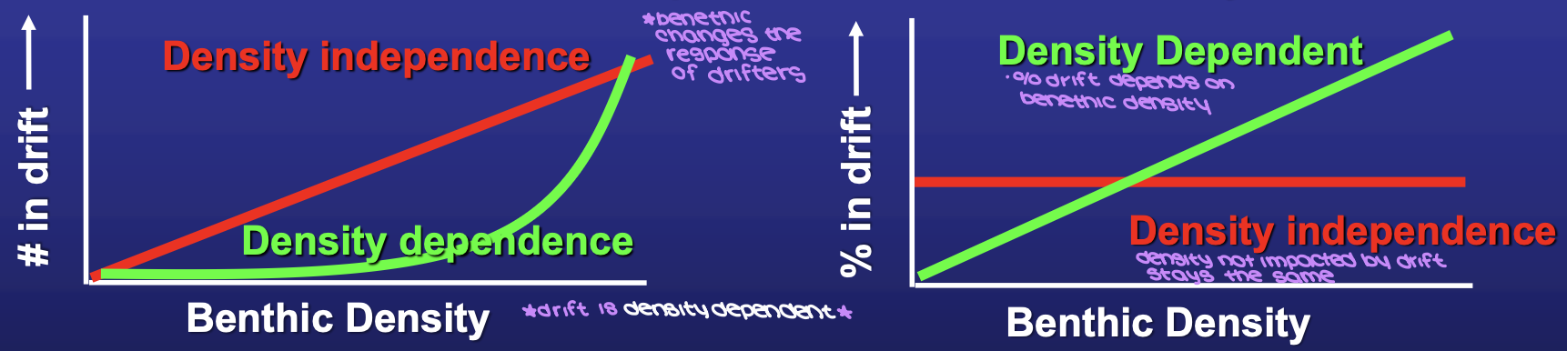 <p>density of competitors</p><ul><li><p><span style="background-color: transparent;">more competitors = harder to make a living</span></p><ul><li><p><span style="background-color: transparent;">density dependence: lots of competitors = greater proportion will enter the drift</span></p></li><li><p><span style="background-color: transparent;">density independence: lots of competitors = no change in proportion drifting</span></p></li></ul></li></ul><p></p>