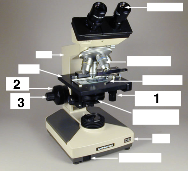 <p>Name these parts of the microscope</p>