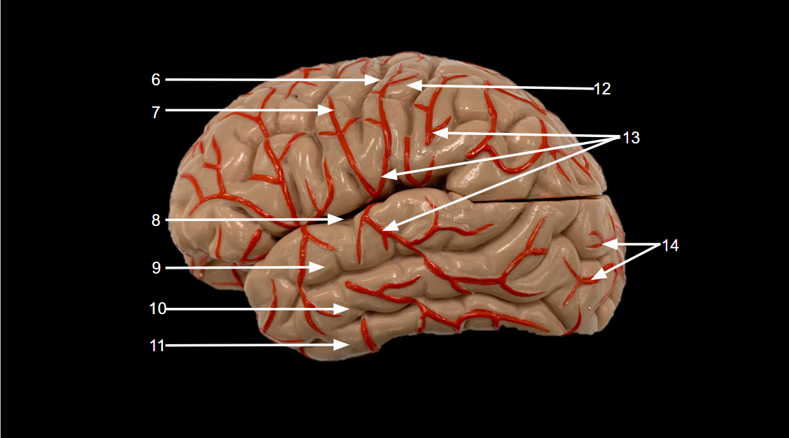 <p>WHAT IS 10 CALLED?</p>