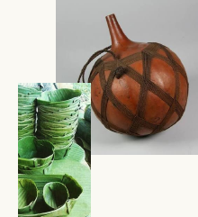 <p>Examples of Natural Containers</p>