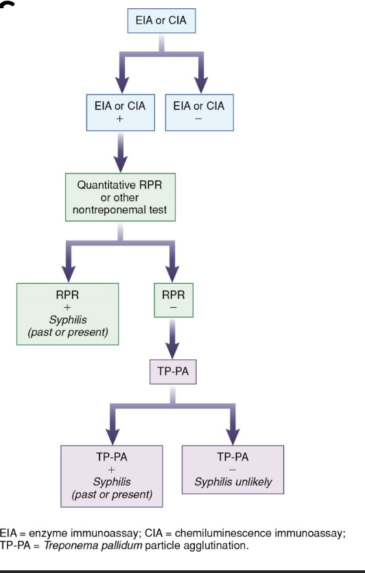 <ul><li><p>screen with an automated immunoassay for T. pallidum antibody</p></li><li><p>confirm pos results with an RPR</p></li><li><p>perform TP-PA on samples with discrepant results</p></li></ul><p></p>