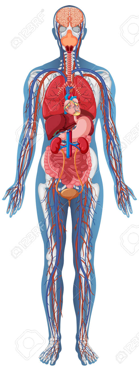 <p><span data-name="lungs" data-type="emoji">๐ซ</span><span data-name="bathtub" data-type="emoji">๐</span><span data-name="apple" data-type="emoji">๐</span><span data-name="zzz" data-type="emoji">๐ค</span><span data-name="person_in_bed" data-type="emoji">๐</span><span style="background-color: transparent; font-family: "Inclusive Sans", sans-serif;"><strong>๐ด๐ฝโโ๏ธ๐๐ฝโโ๏ธ</strong></span>Physical Health</p>
