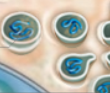 <p>name it → see it</p><p><em>madden joke: transport pods</em>, squiggly-filled bubbles</p>