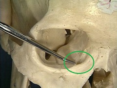 <p>what is this?</p>