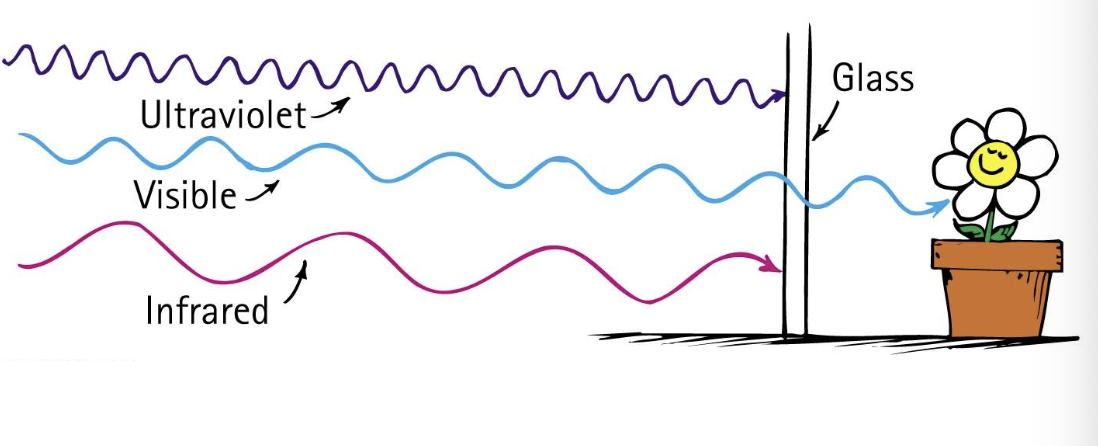 <p>Glass blocks both infrared and ultraviolet, but it is transparent to visible light</p>