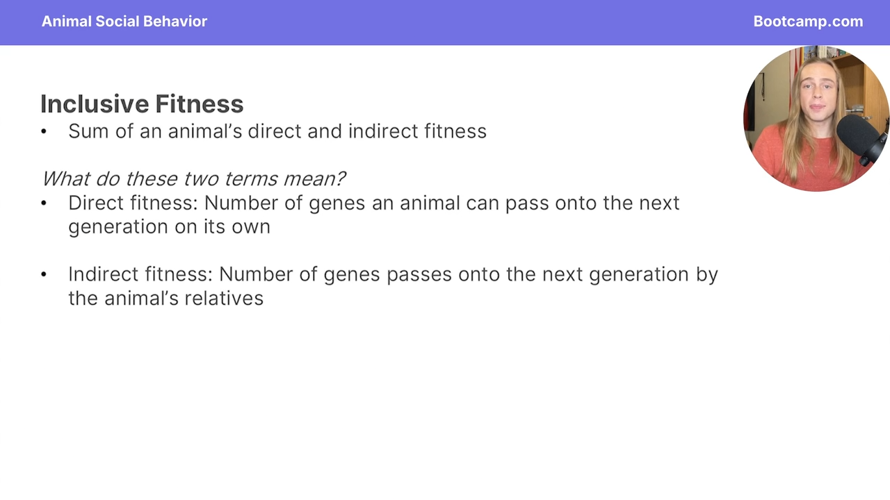 <p>the number of genes passes onto the next generation by the animal’s relatives </p>