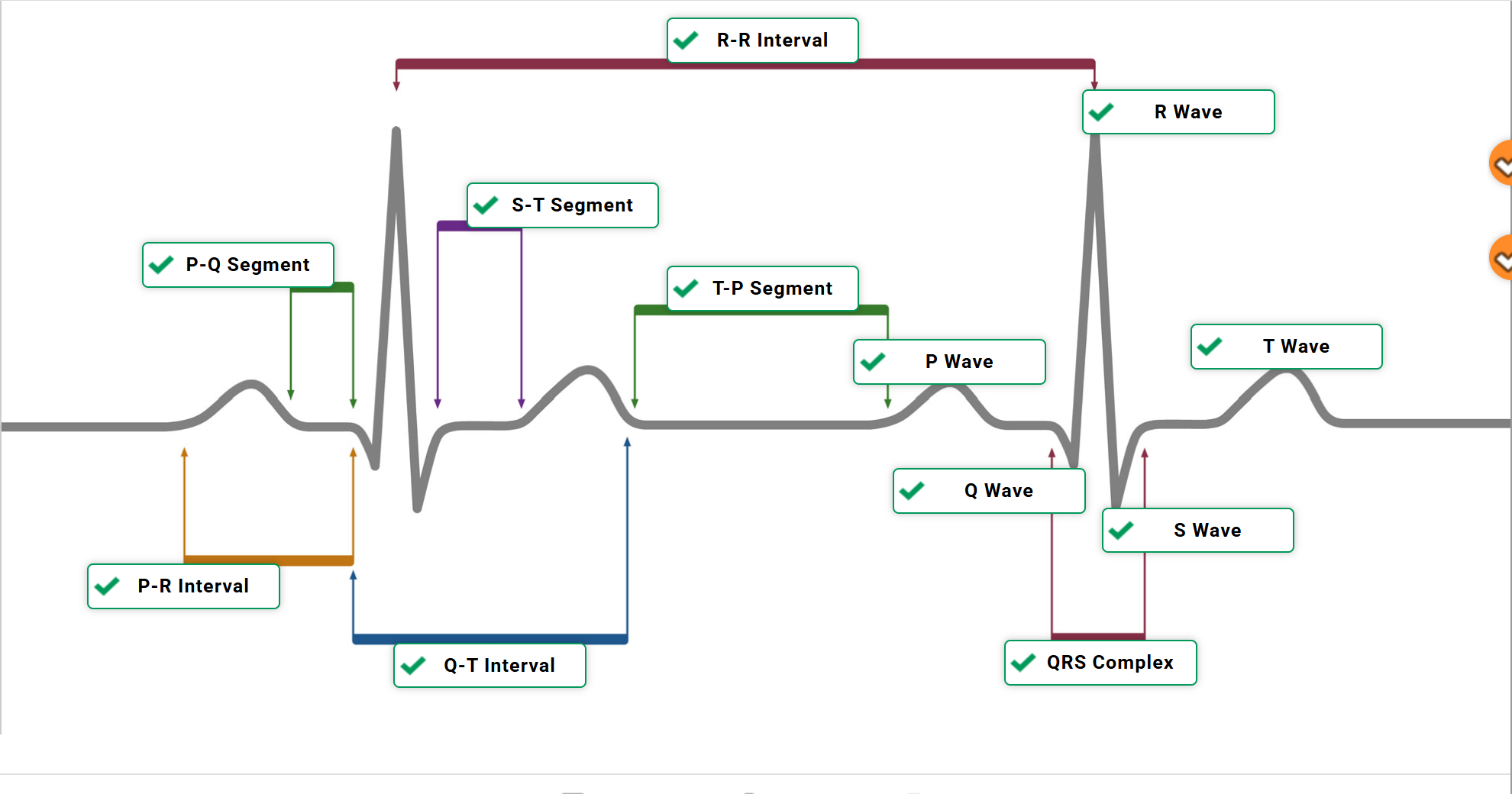 <p><span>Identify interval and segment components AND wave components</span></p>