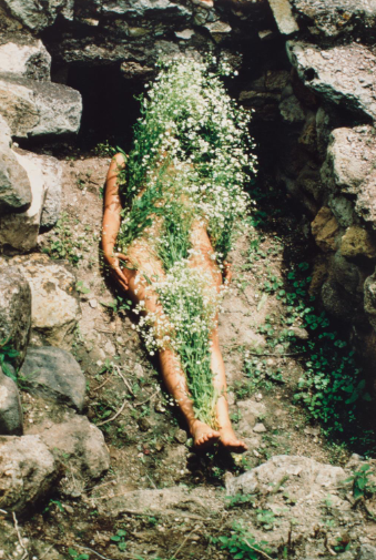 <ul><li><p>decay x cirle of life x fertility</p></li><li><p>female power of creating & nurtering life</p></li><li><p>burial as transformation</p></li></ul><p></p>