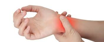 <p><span>wrist</span></p>