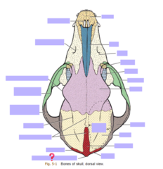knowt flashcard image