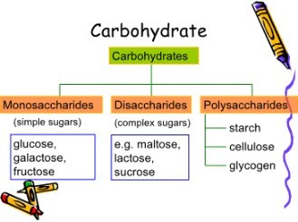 <p>*Includes sugars (saccharides)</p><p>*monomer = monosaccharides</p><p>*polymer = (disaccharides) and polysaccharides</p>