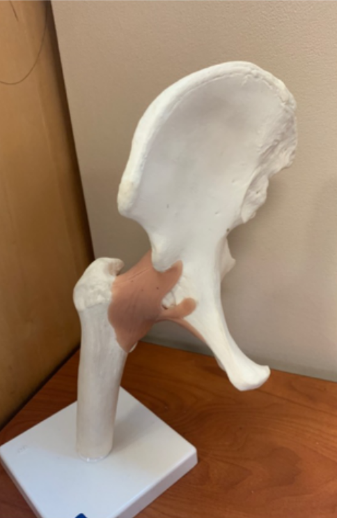 <p>Define joint </p>