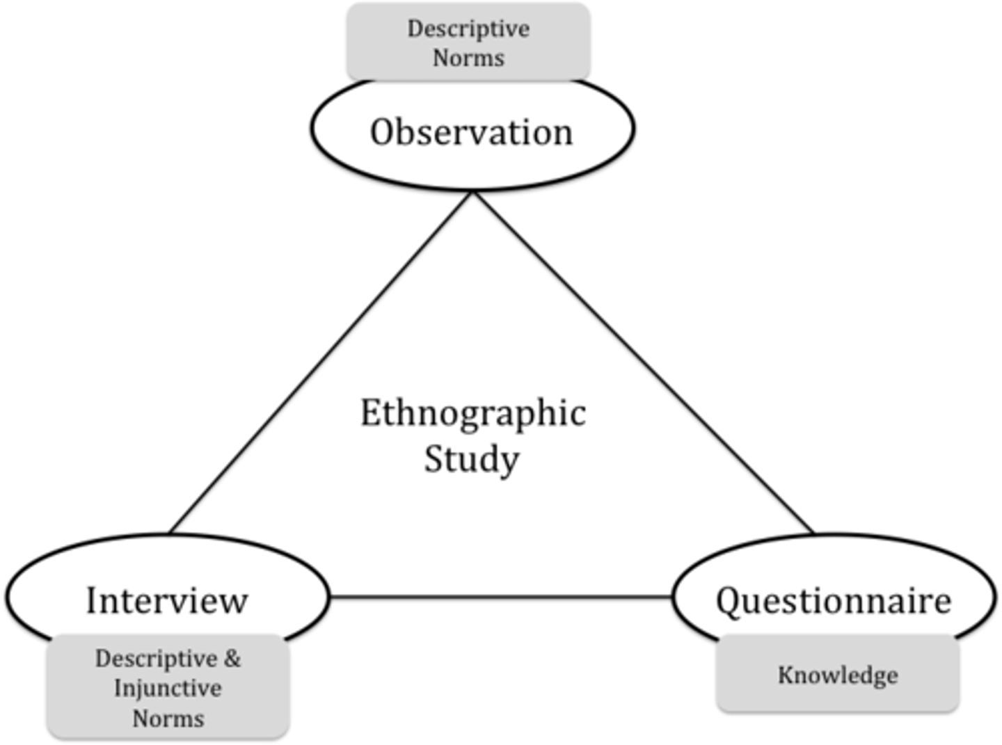 <p>Main Characteristics: In-depth study of a culture or subculture.</p><p>Advantages: Overcomes cultural bias; tests universality of phenomena.</p><p>Disadvantages: Subject to observer bias.</p>