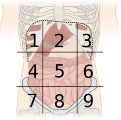 <p>What is Region 6?</p>