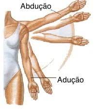 <p>both occur in the frontal plane</p><ul><li><p class="has-focus">abduction: moves the structure away from the body's midline</p></li><li><p class="has-focus">adduction: moves it towards (towards the center)</p></li></ul><p></p>